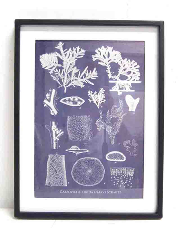 The Leaves Style White Colour Metal Frame 